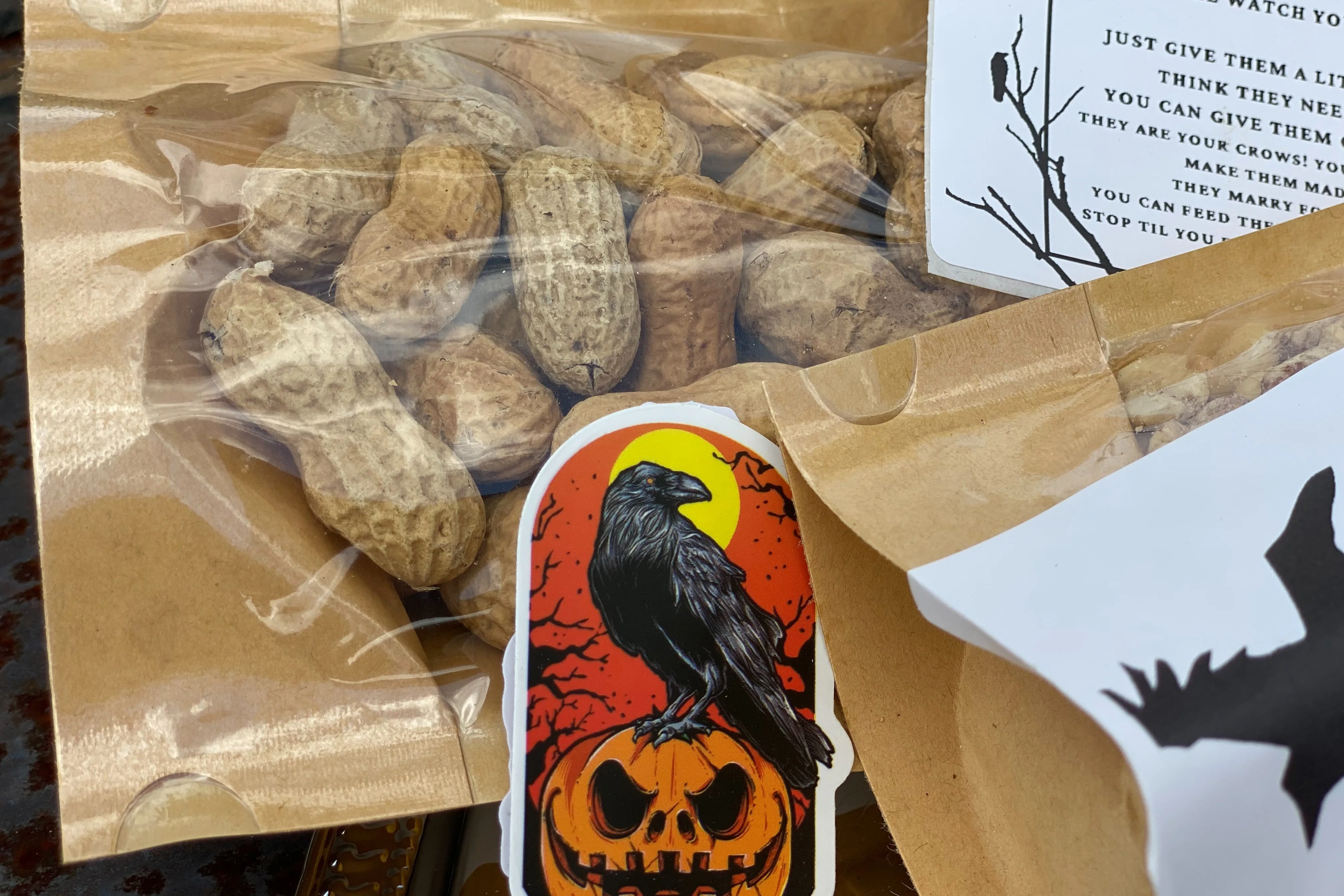 Lets Be friends Crow box | Feed the crows starter lit - Image 10