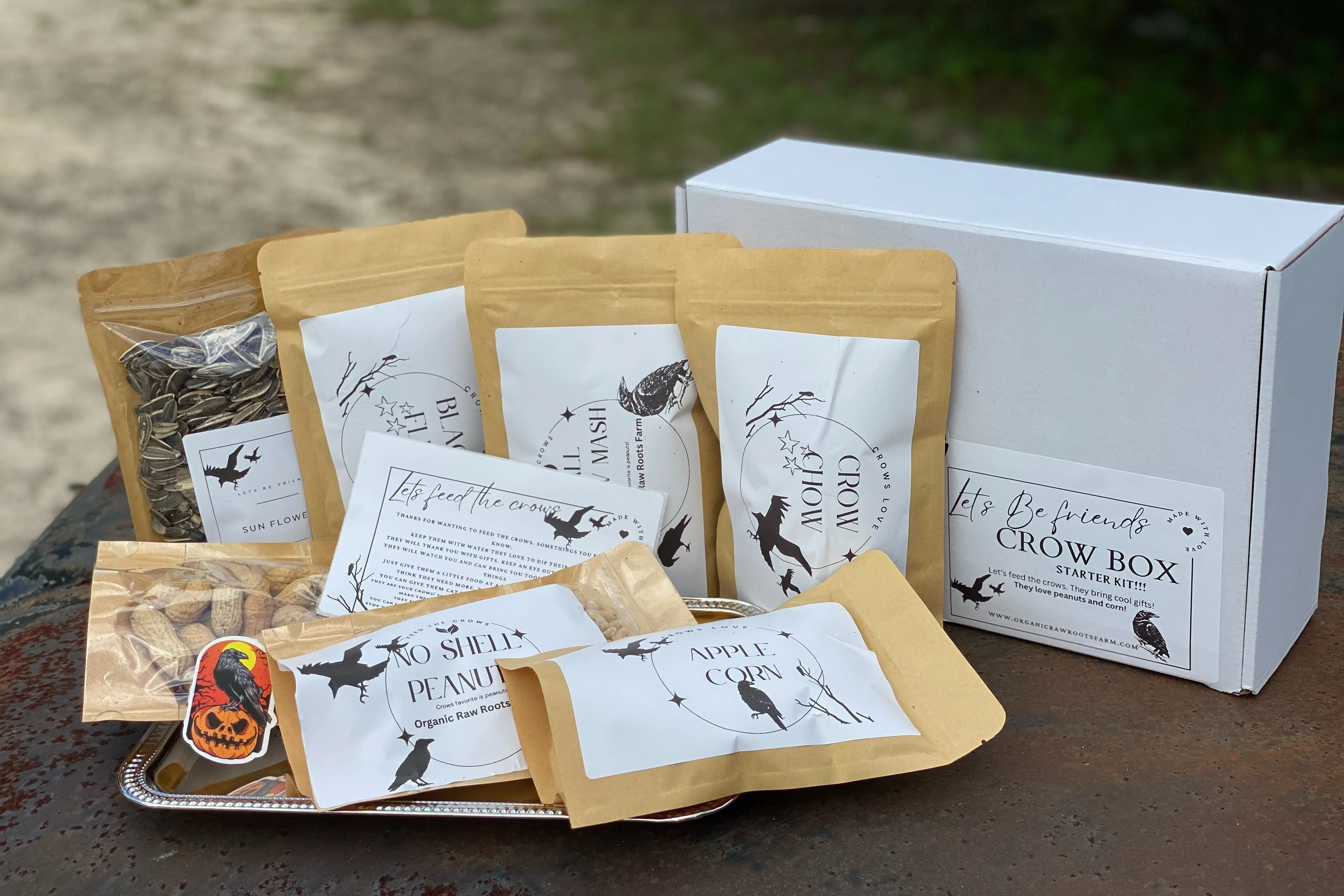 Lets Be friends Crow box | Feed the crows starter lit - Image 9