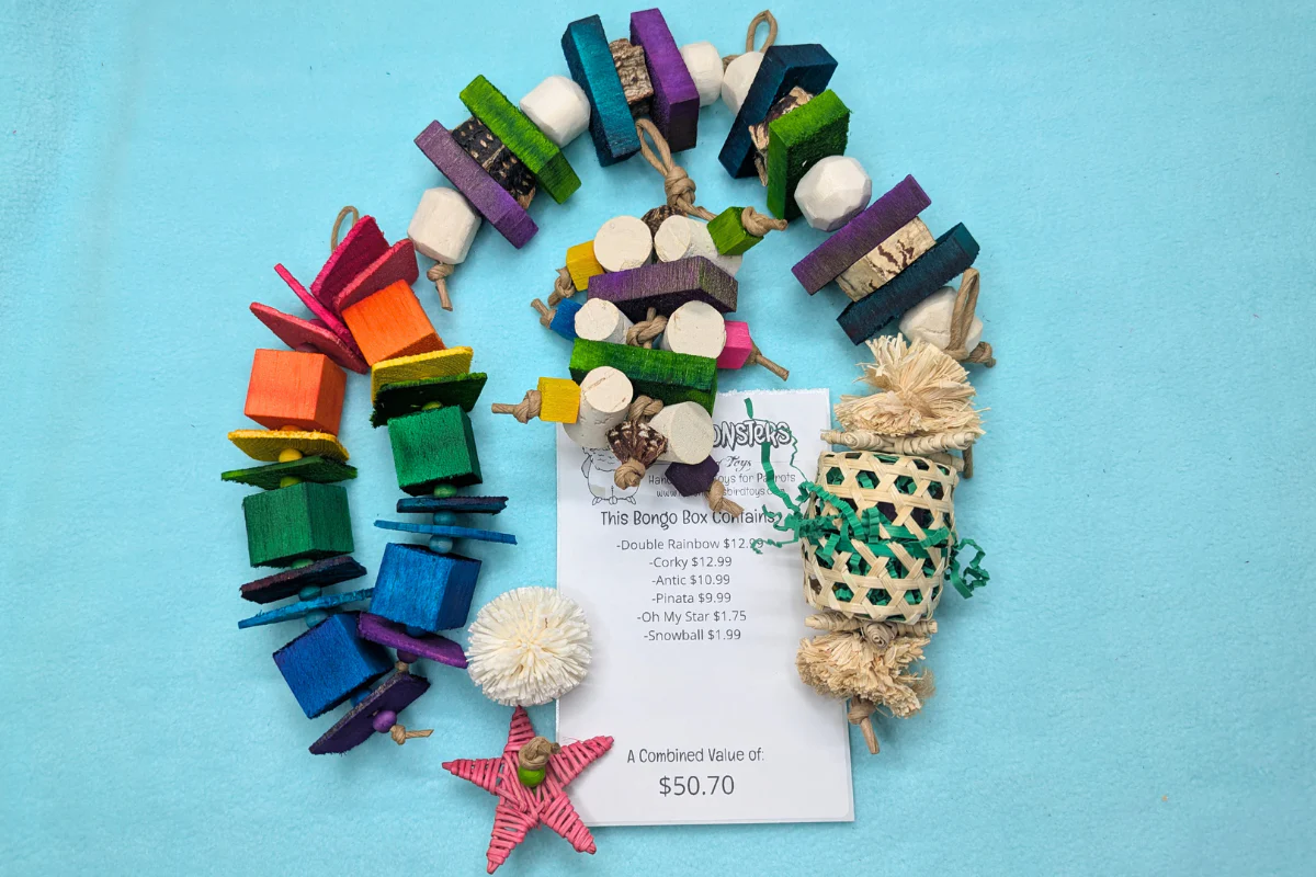 Lil Monsters Bird Toys - Bongo Box ($50) - Image 2
