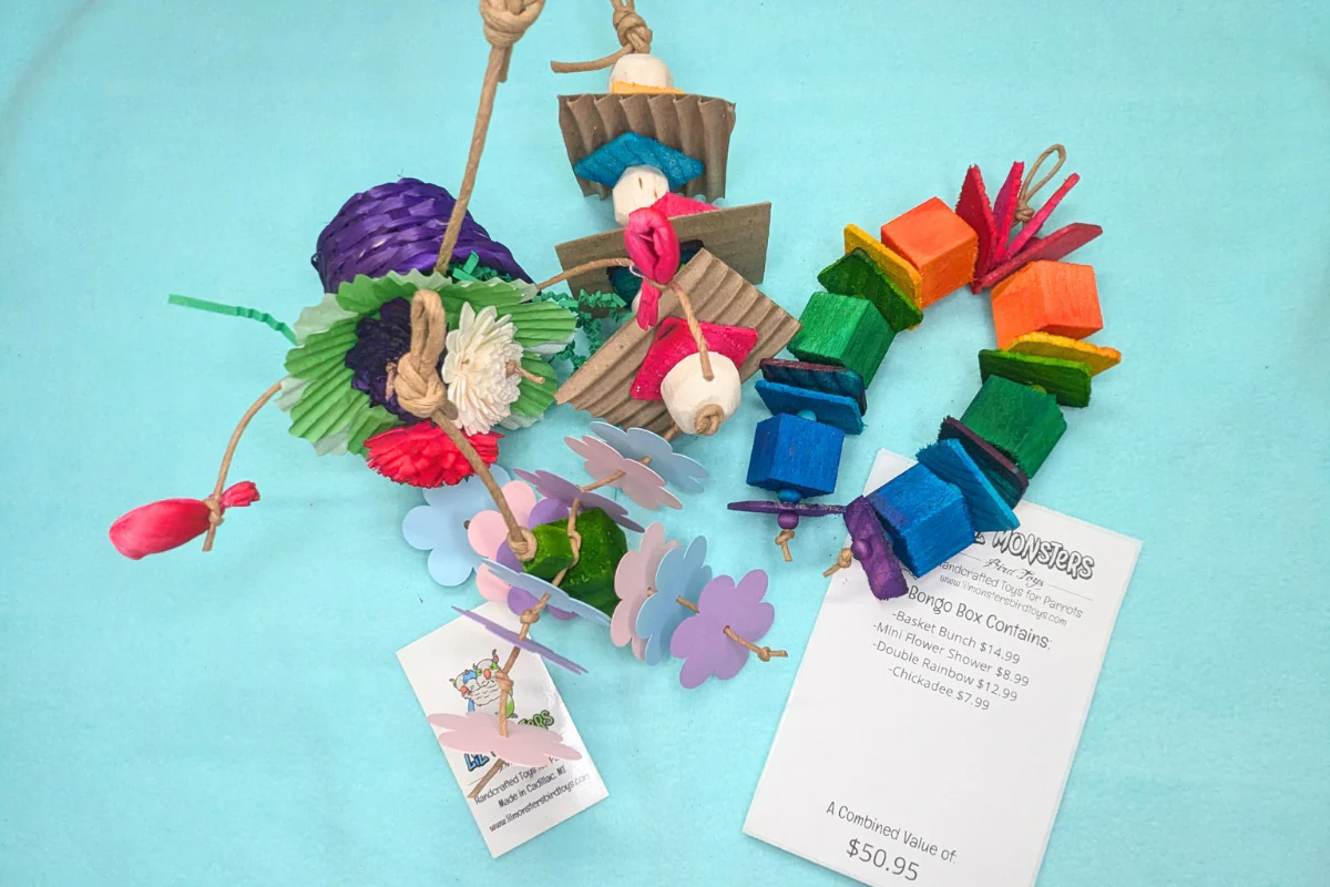 Lil Monsters Bird Toys - Bongo Box ($50) - Image 3