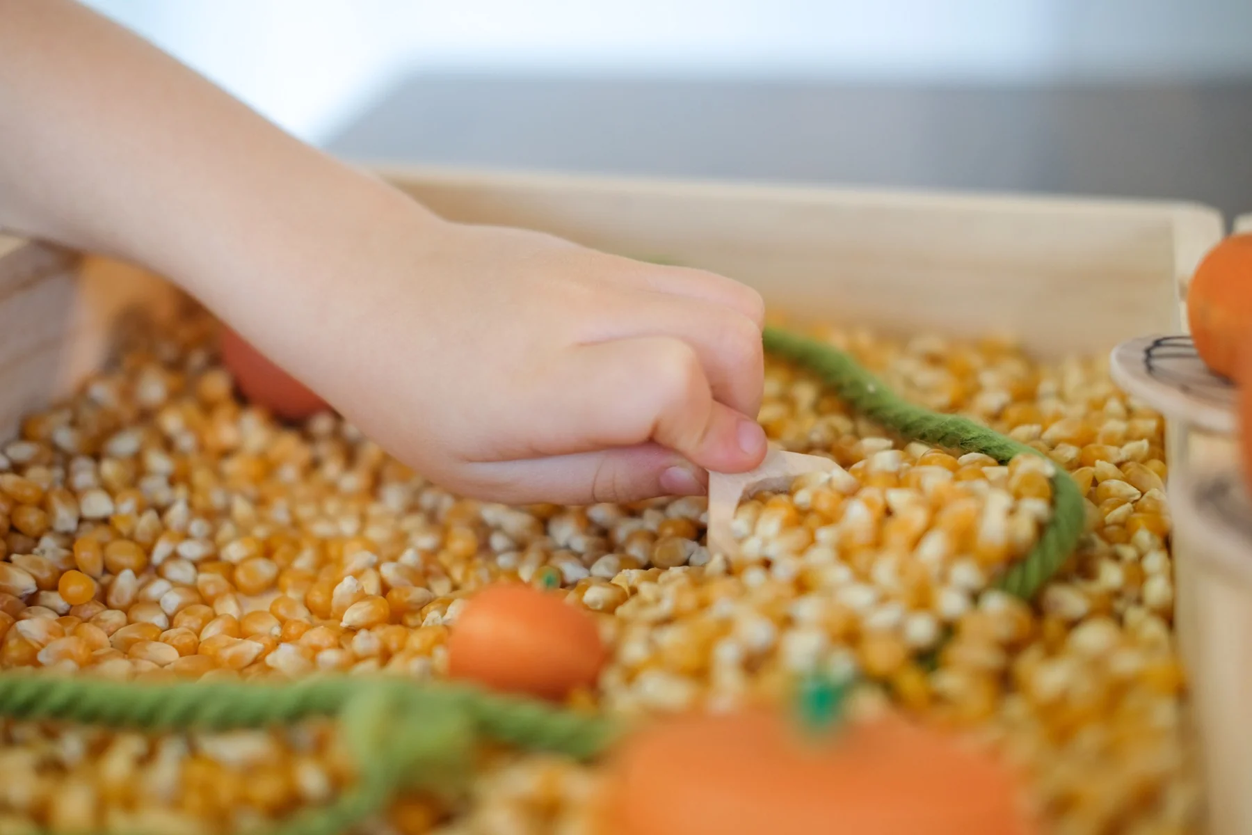 Mama May I Sensory Bin of the Month Club - Image 22