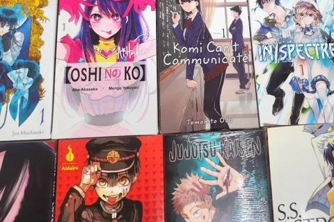 Manga Mystery Bundle - Image 8