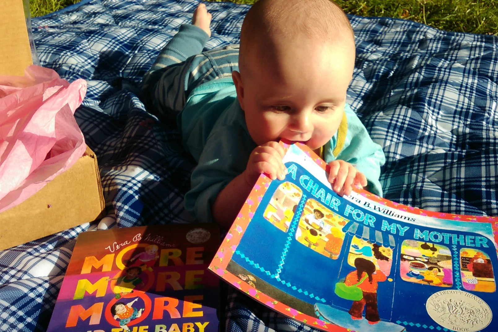 Momo’s Board Book Club- 2 books (For ages 0-3) - Image 2
