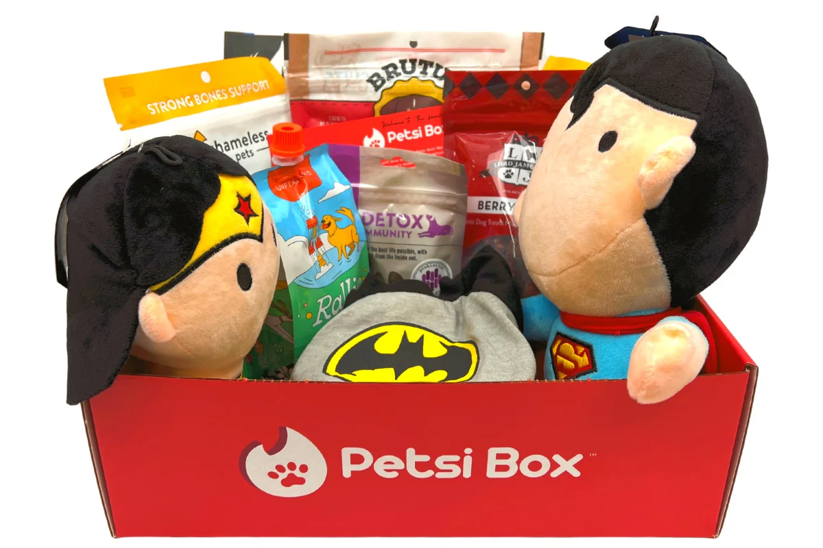 Monthly Classic Regular Dog Box - Image 3