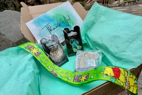 Monthly Dose of Magic - Hard to Find Disney Pins Delivered Monthly - Image 3