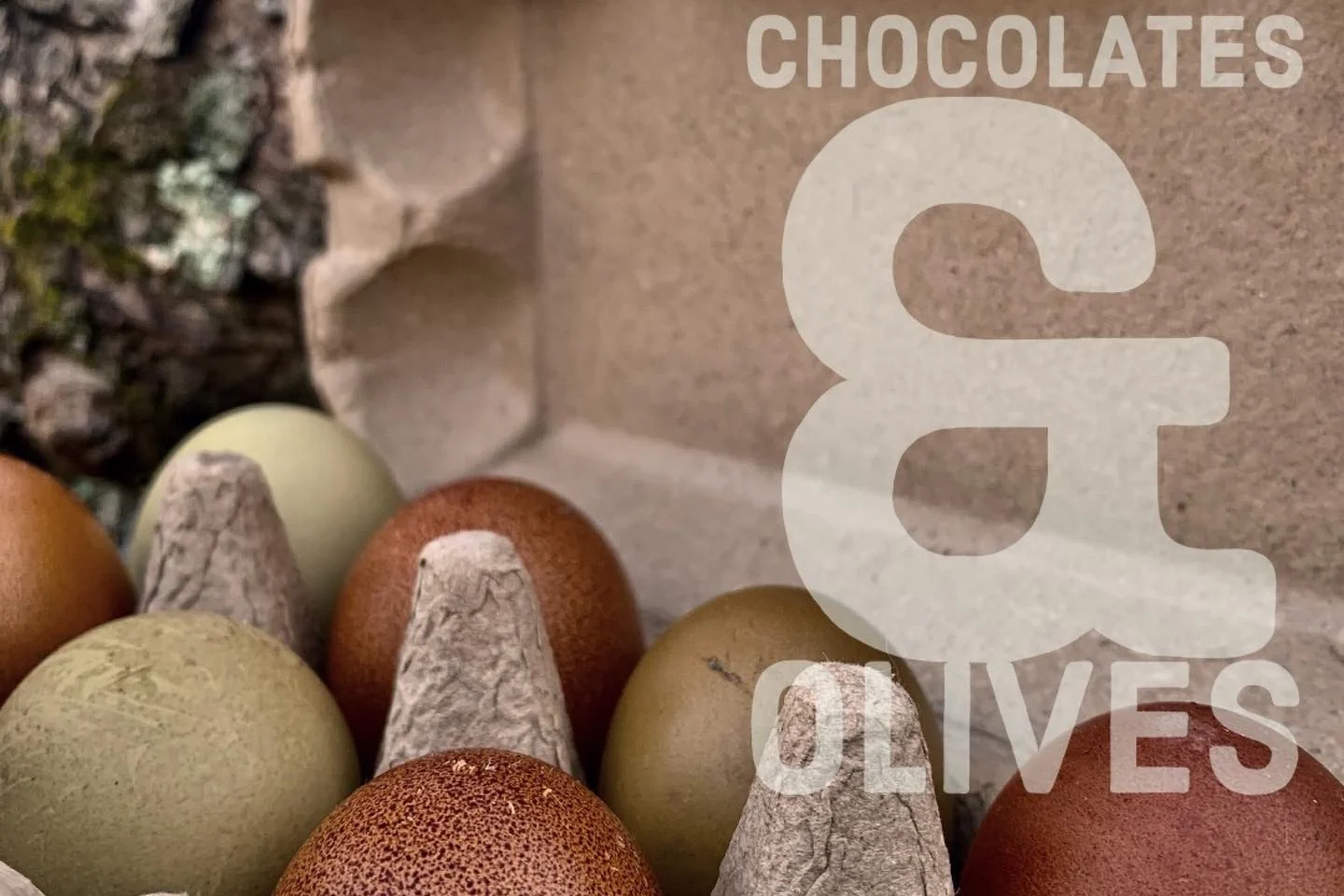 Monthly Surprise Chicken Hatching Egg Subscription - Image 2