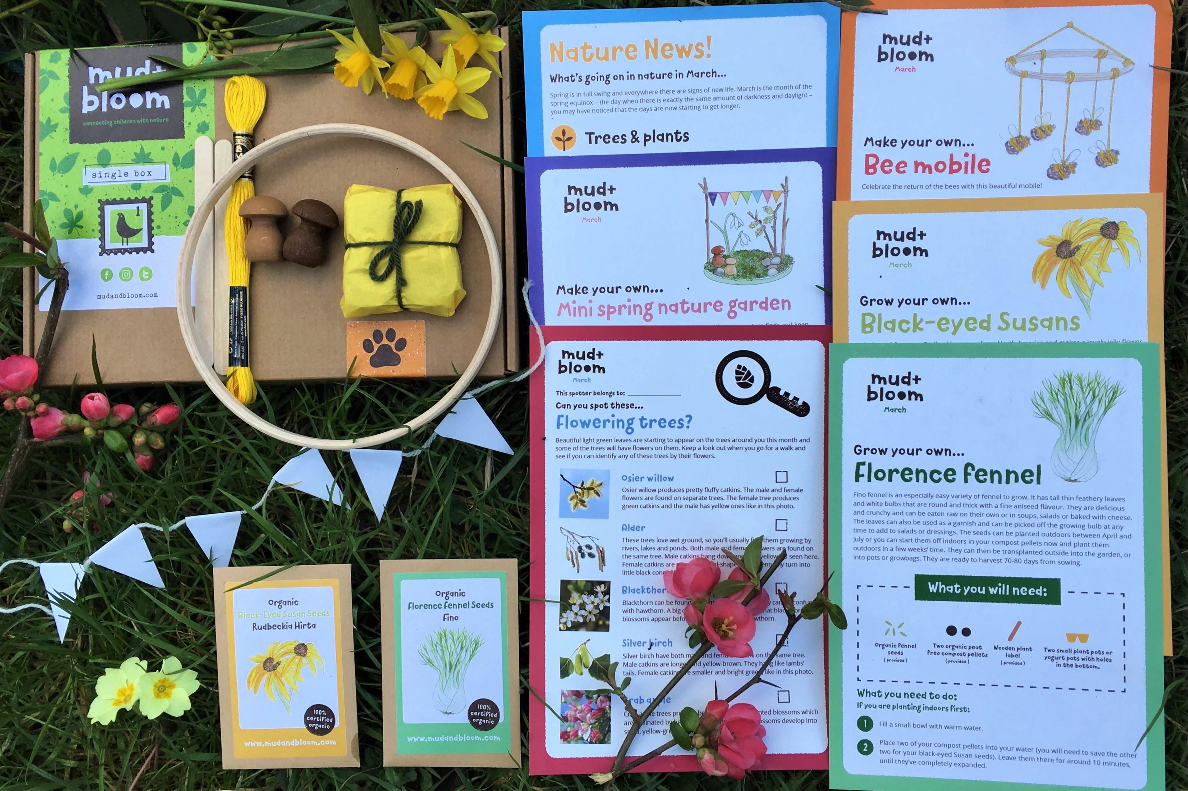 ~ Mud & Bloom Box ~ - Image 9
