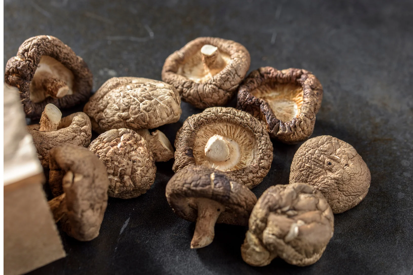 Mushroom Complex Extract - Image 4