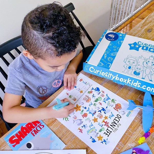 Mystery Craft & Activity Box for Ages 5-7 - Image 8