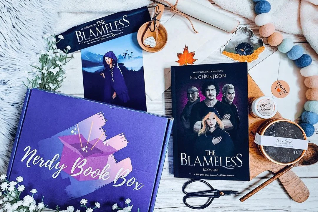 YA Nerdy Book Box - Image 11