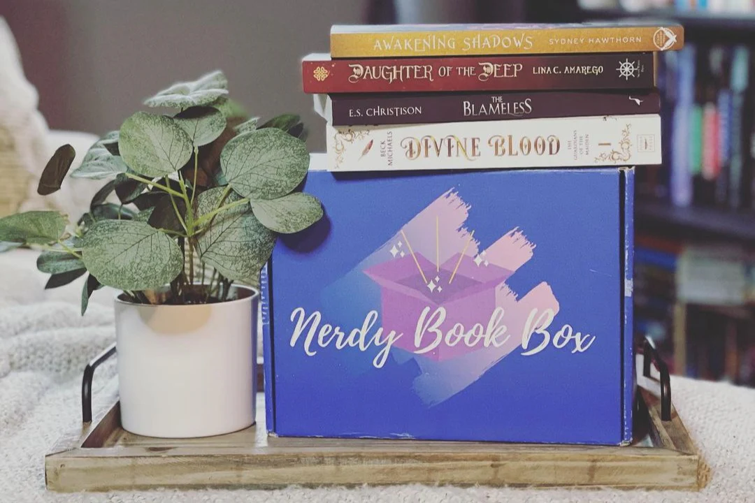 YA Nerdy Book Box - Image 4