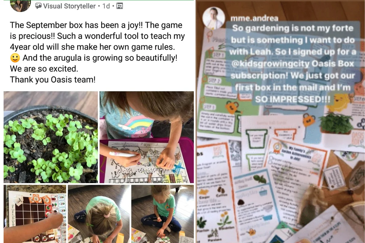Oasis Box, gardening for kids - Image 10