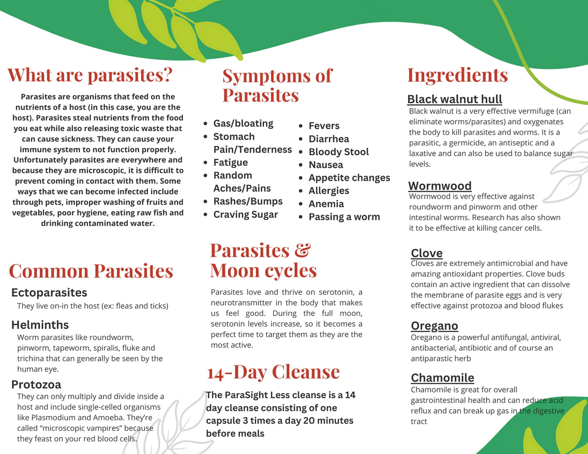 ParaSight Less 14-day Parasite Cleanse - Image 4
