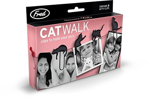 Paws & Pour Dog & Cat Box - Image 8
