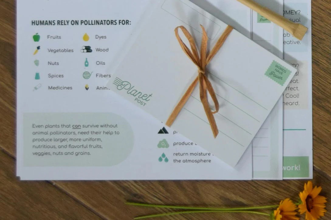 Planet Post Packet - Image 6