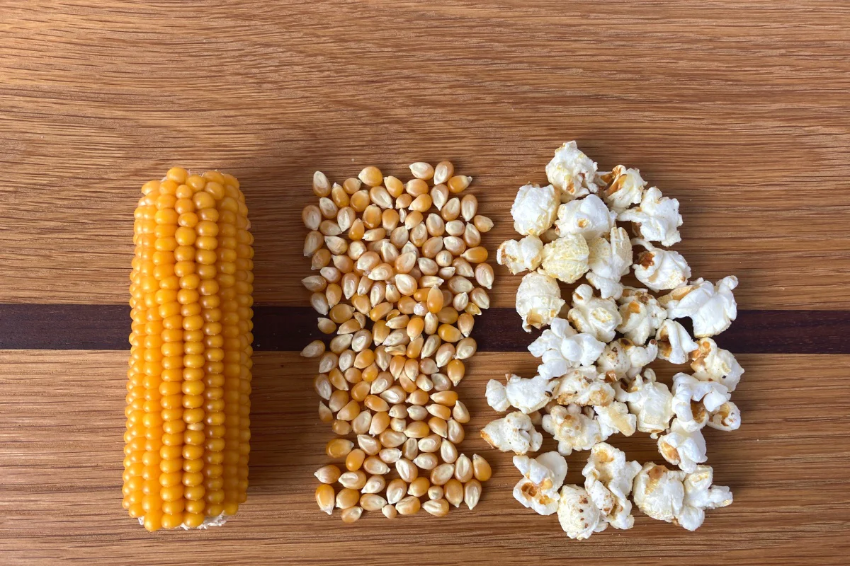Popcorn Lovers Subscription Box