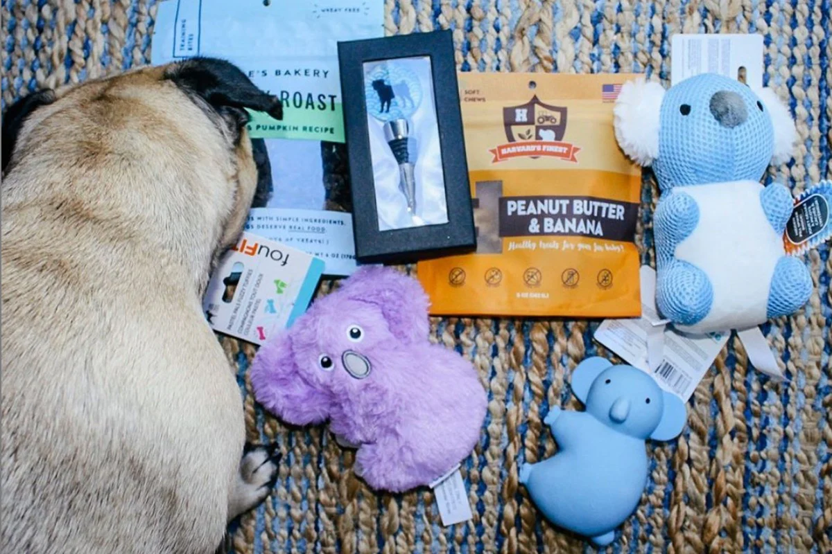 Premium Pug Box - Image 6