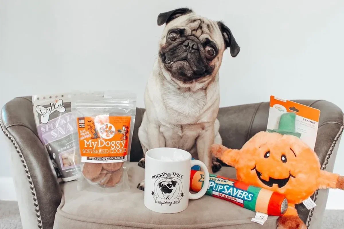 Premium Pug Box. - Image 7