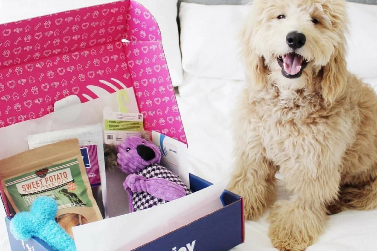 Monthly PupJoy Power Chewers Box, Treats & Toys, All Natural - Image 2