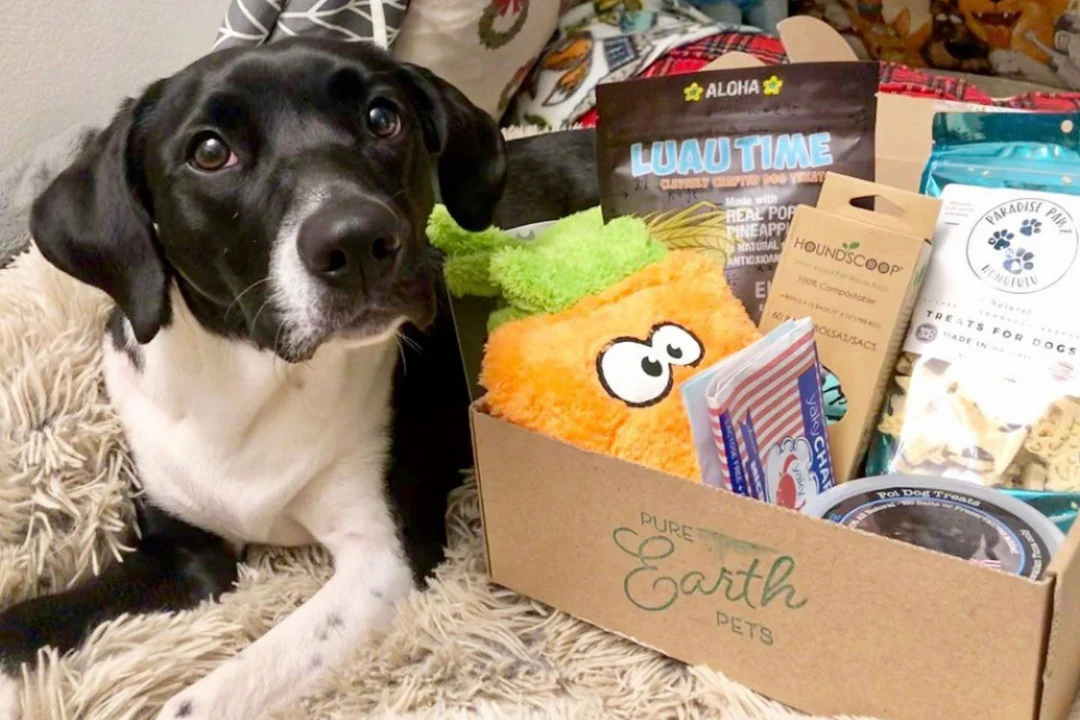 Pure Earth Pets Eco Friendly Dog Box - Image 8