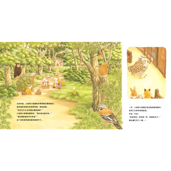 让孩子了解图书馆《森林图书馆》 - Image 2