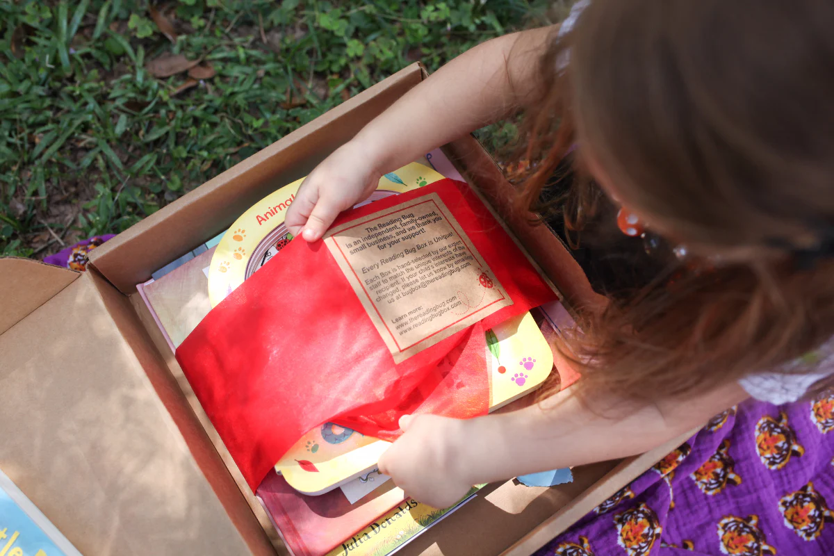 Reading Bug Box for Babies & Toddlers - Image 4