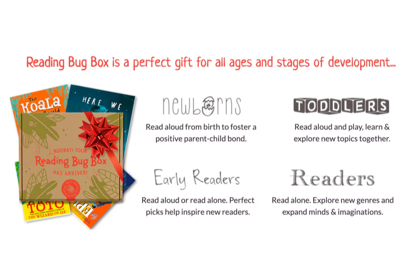 Reading Bug Box - Image 5
