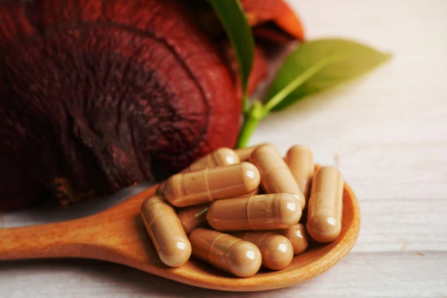Reishi Mushroom - Image 6
