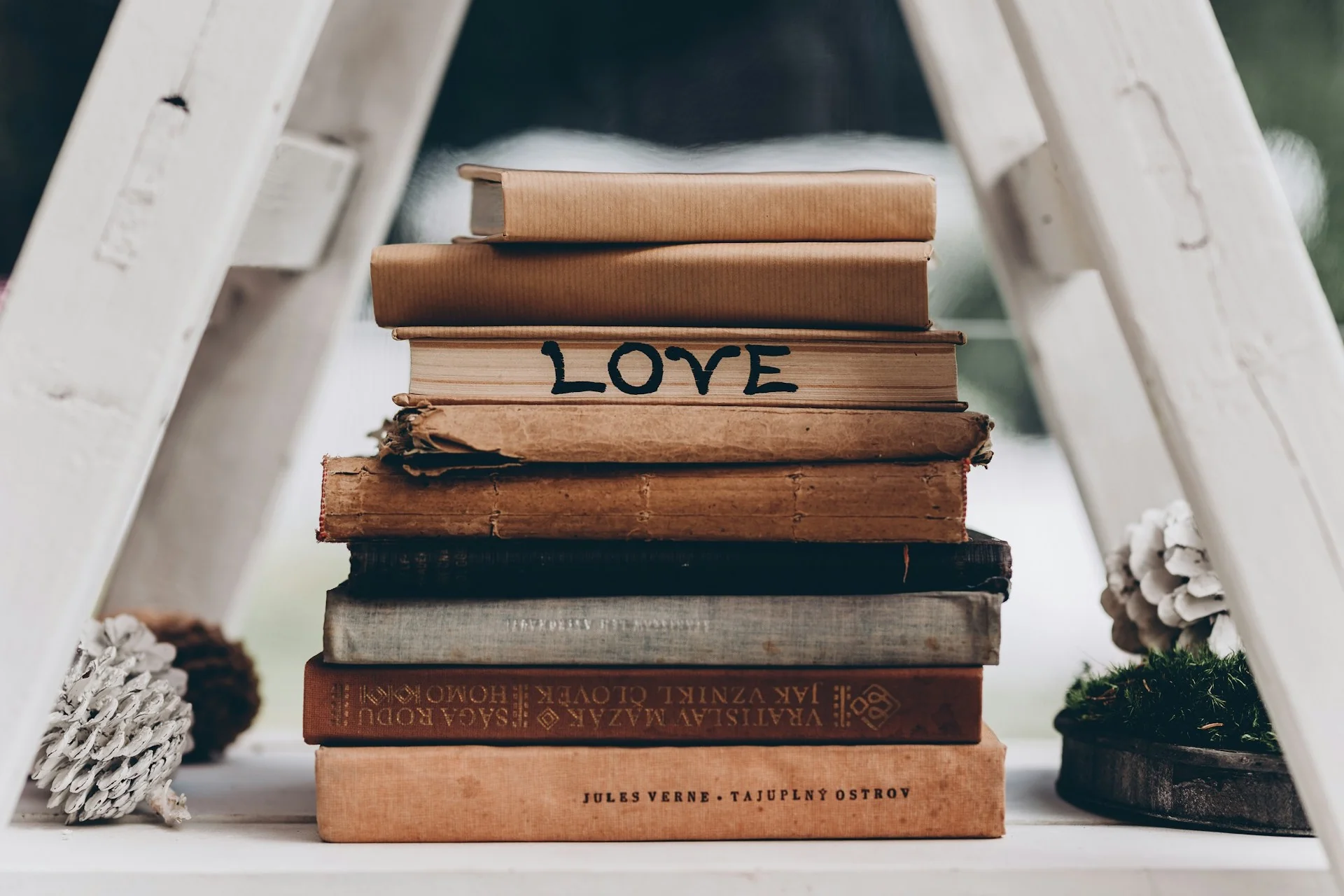 Romance Books Club - Image 4