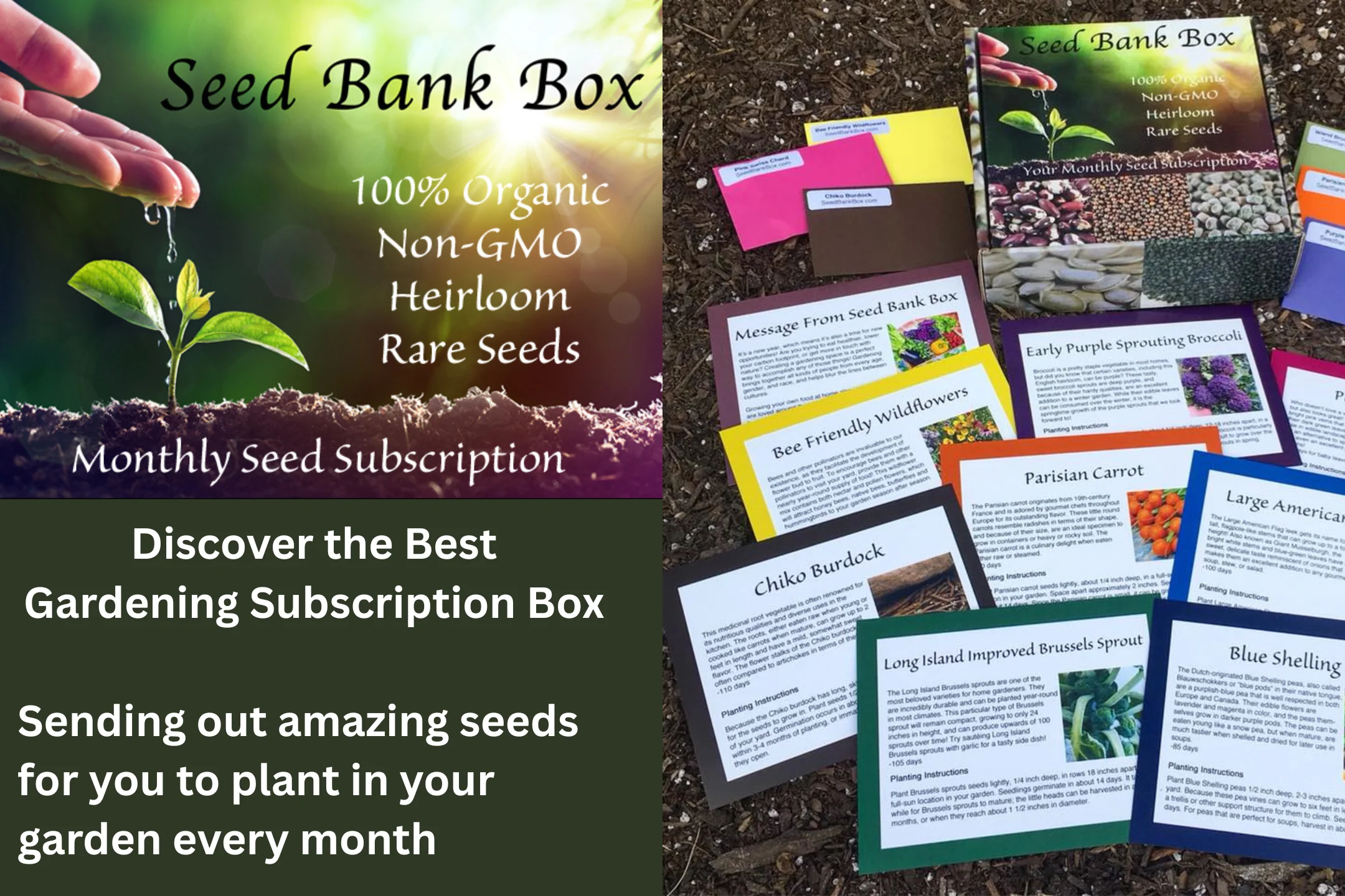 Seed Bank Box - Image 2