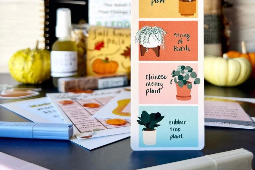 Self Blossom Box (New) - Image 19