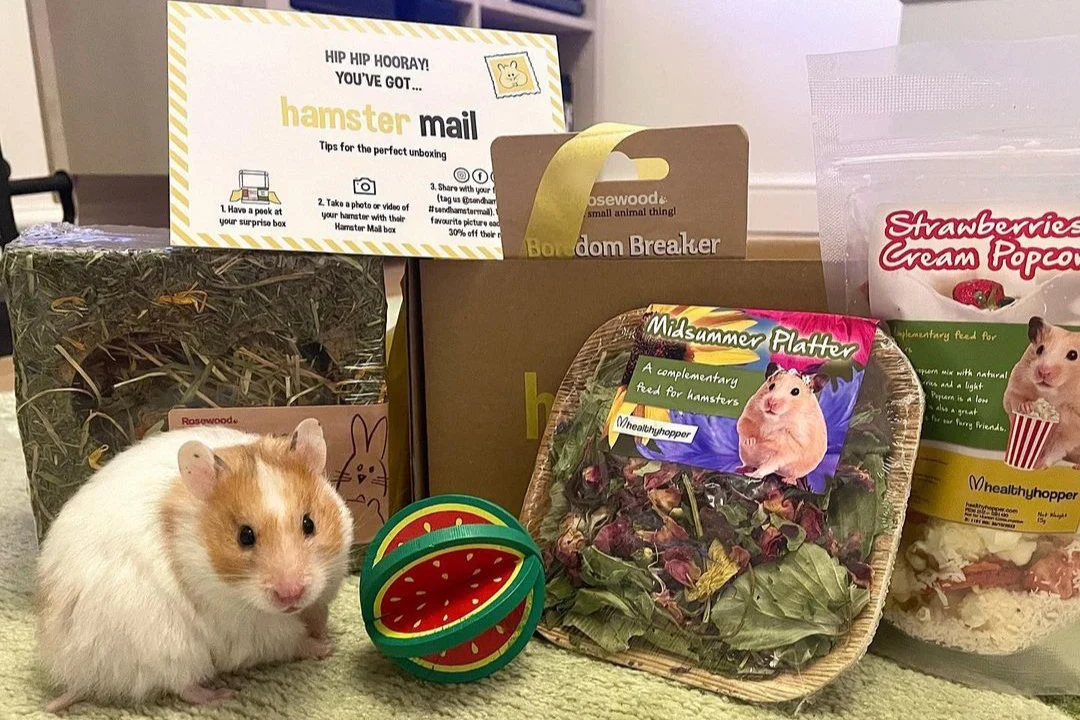 Hamster Mail - Image 4