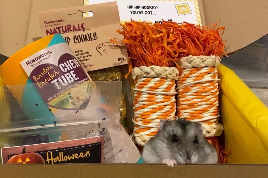 Hamster Mail - Image 7