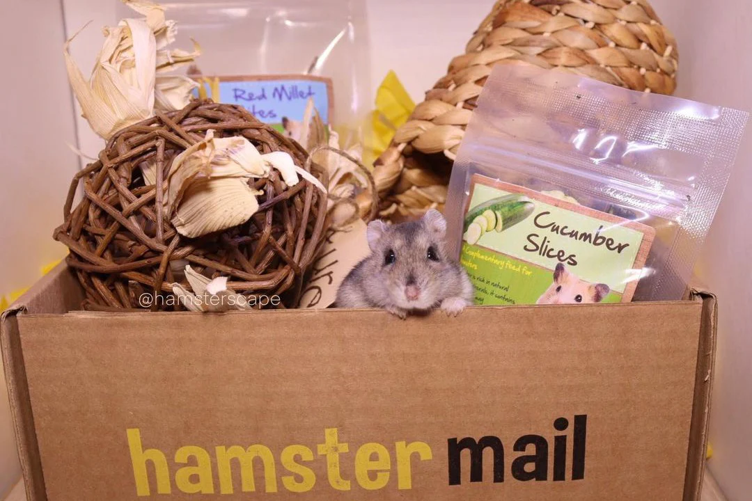 Hamster Mail - Image 9
