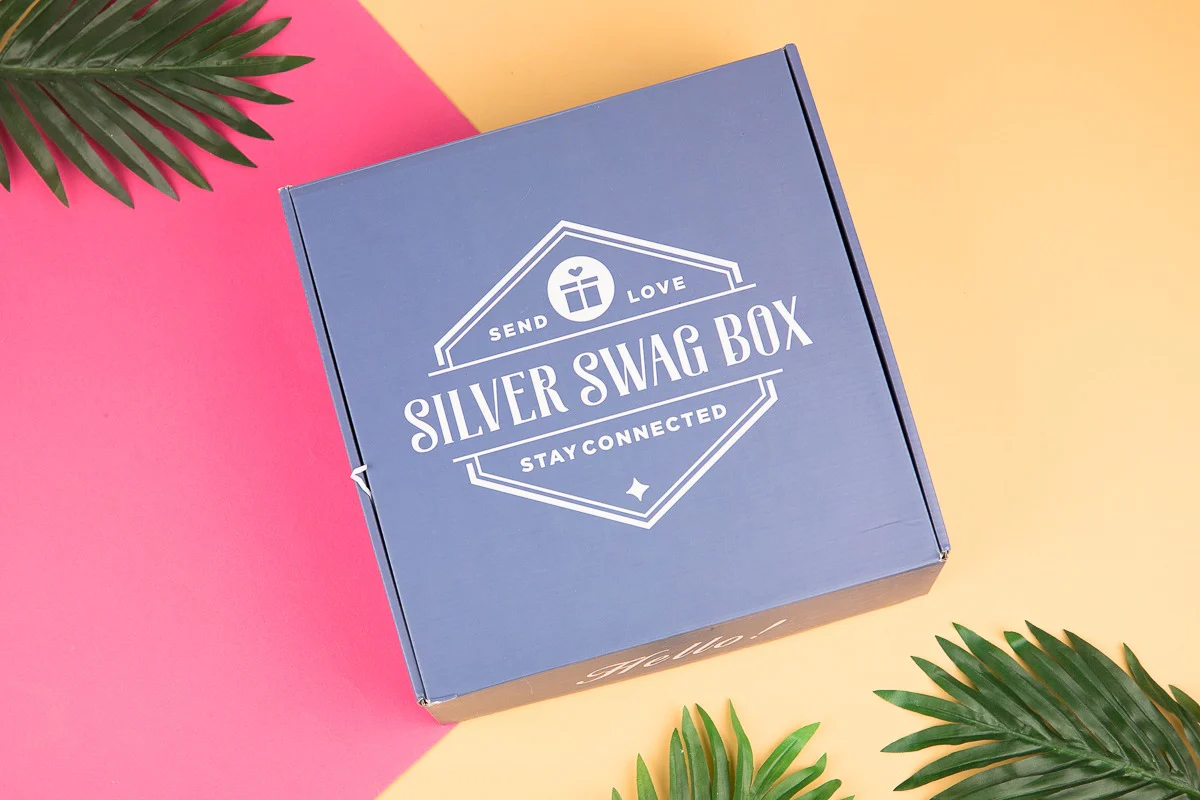 Silver Swag Box - Image 2