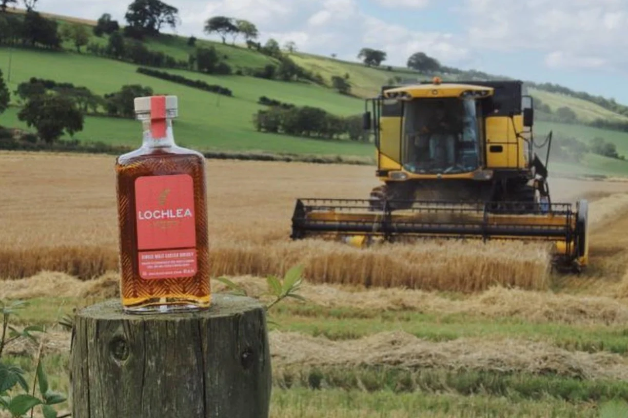 Scotch Whisky Subscription - The Single Cask Club - Image 8