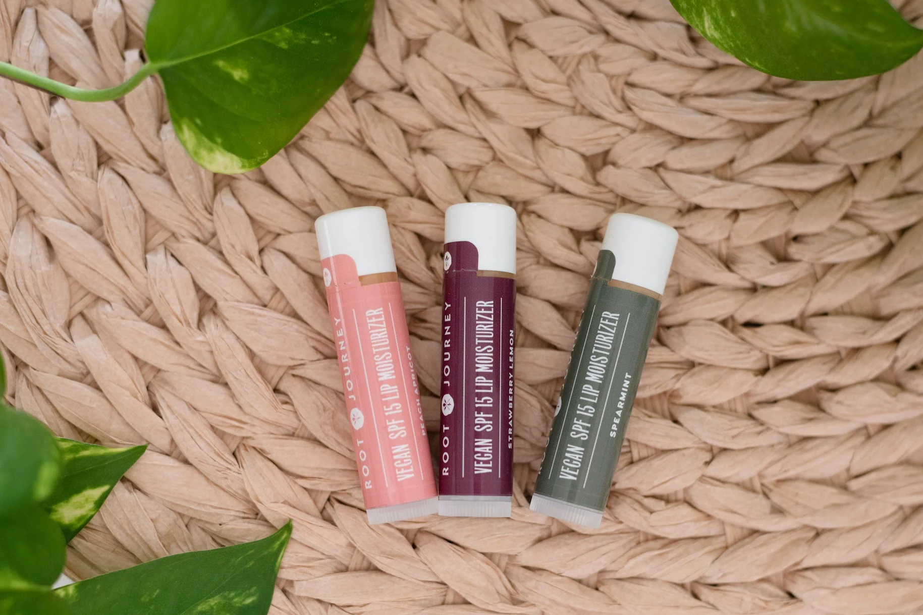 SPF 15 Lip Care Trio by Root Journey - Image 6