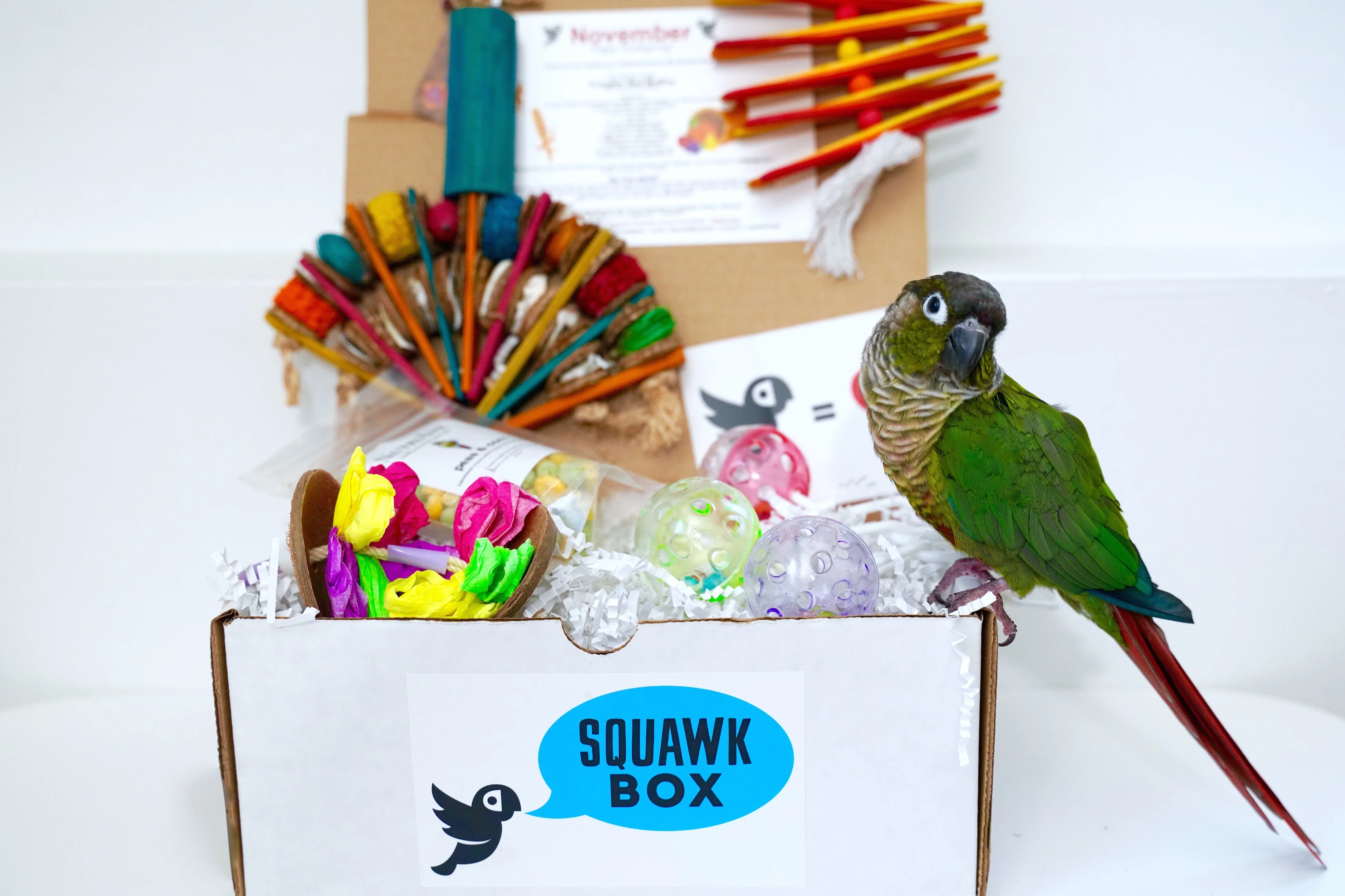 Squawk Box