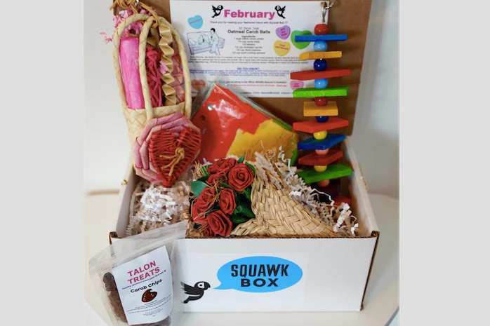 Squawk Box - Image 2