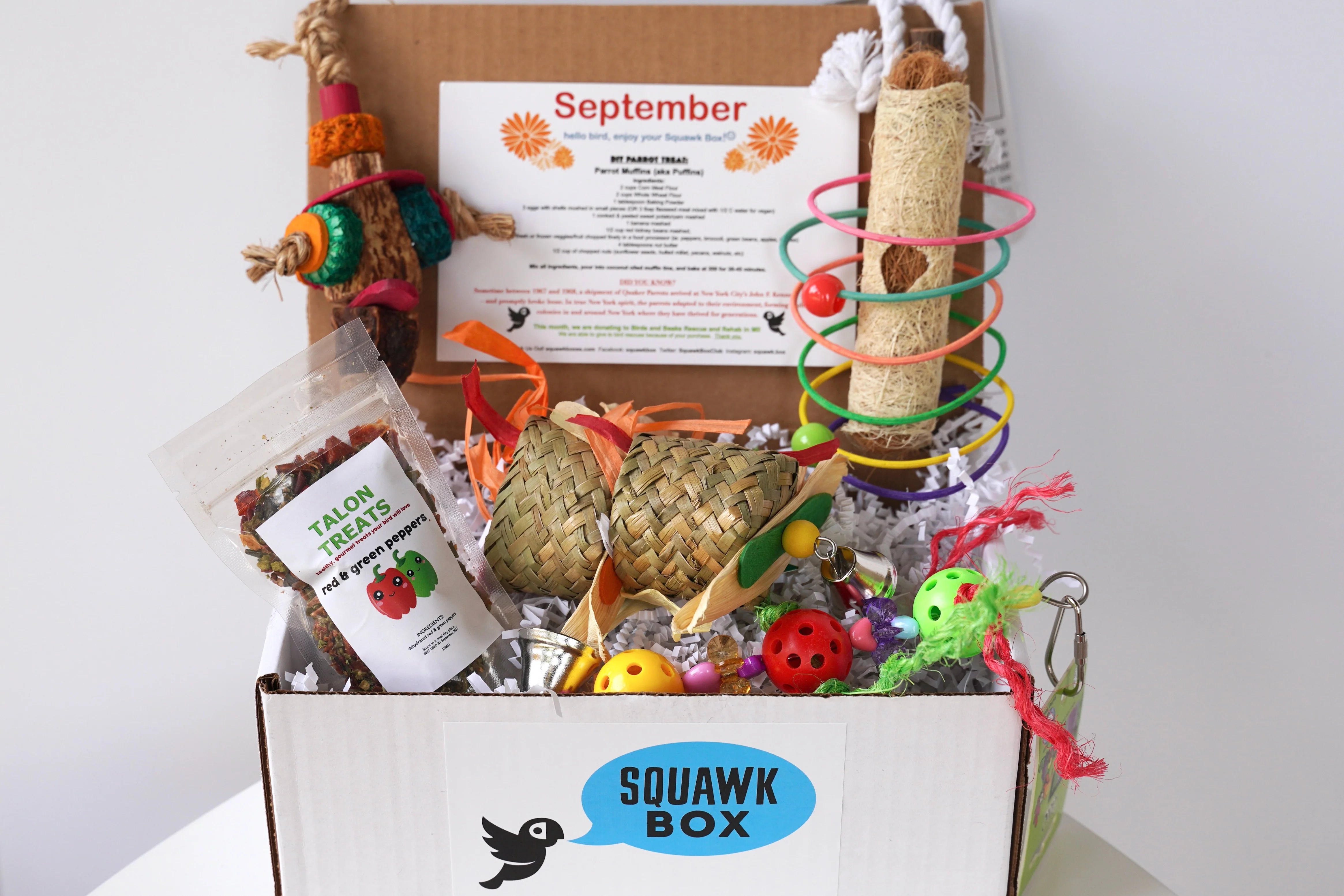 Squawk Box - Image 5