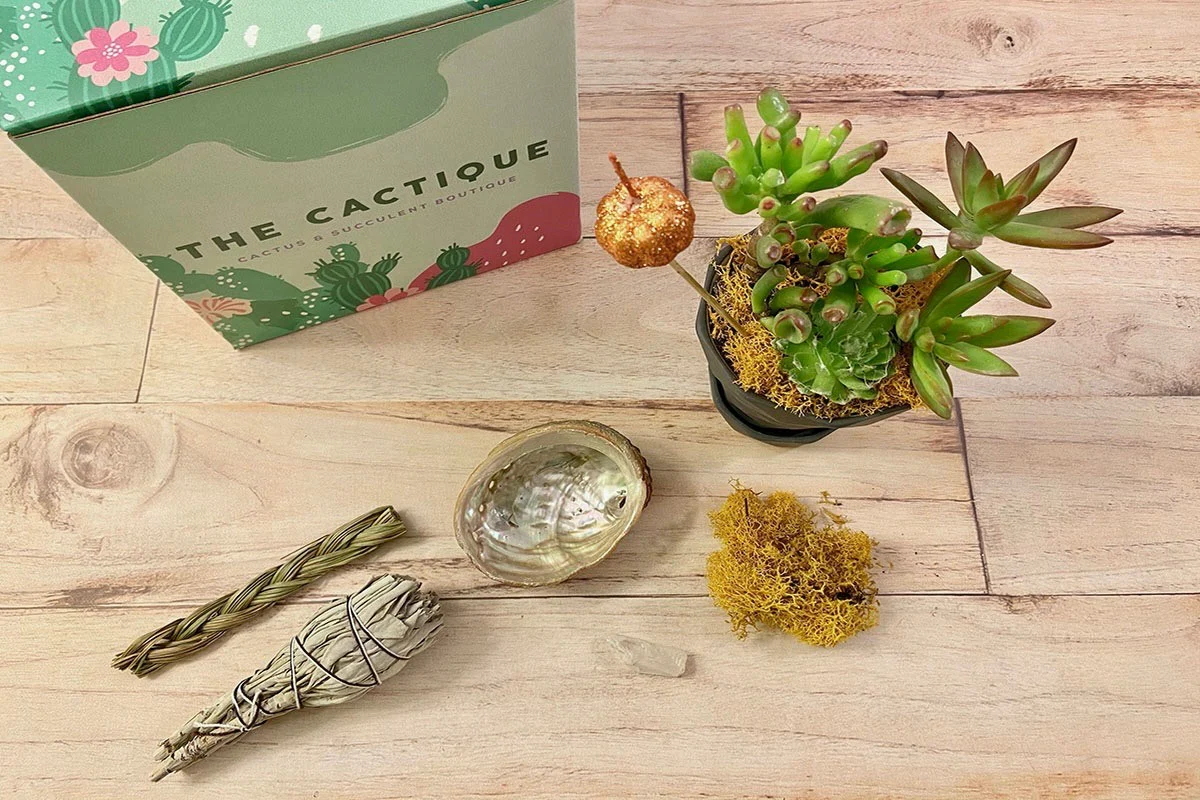 The Cactique Boutique Box - Image 5