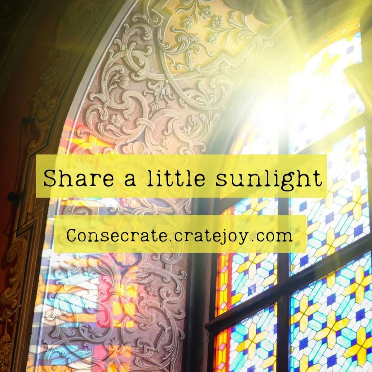 The ConseCrate Elevate