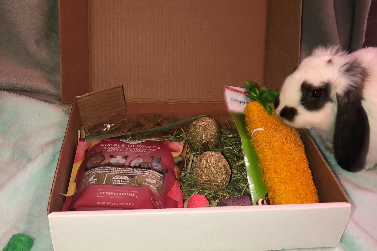 Hop Box - Image 5