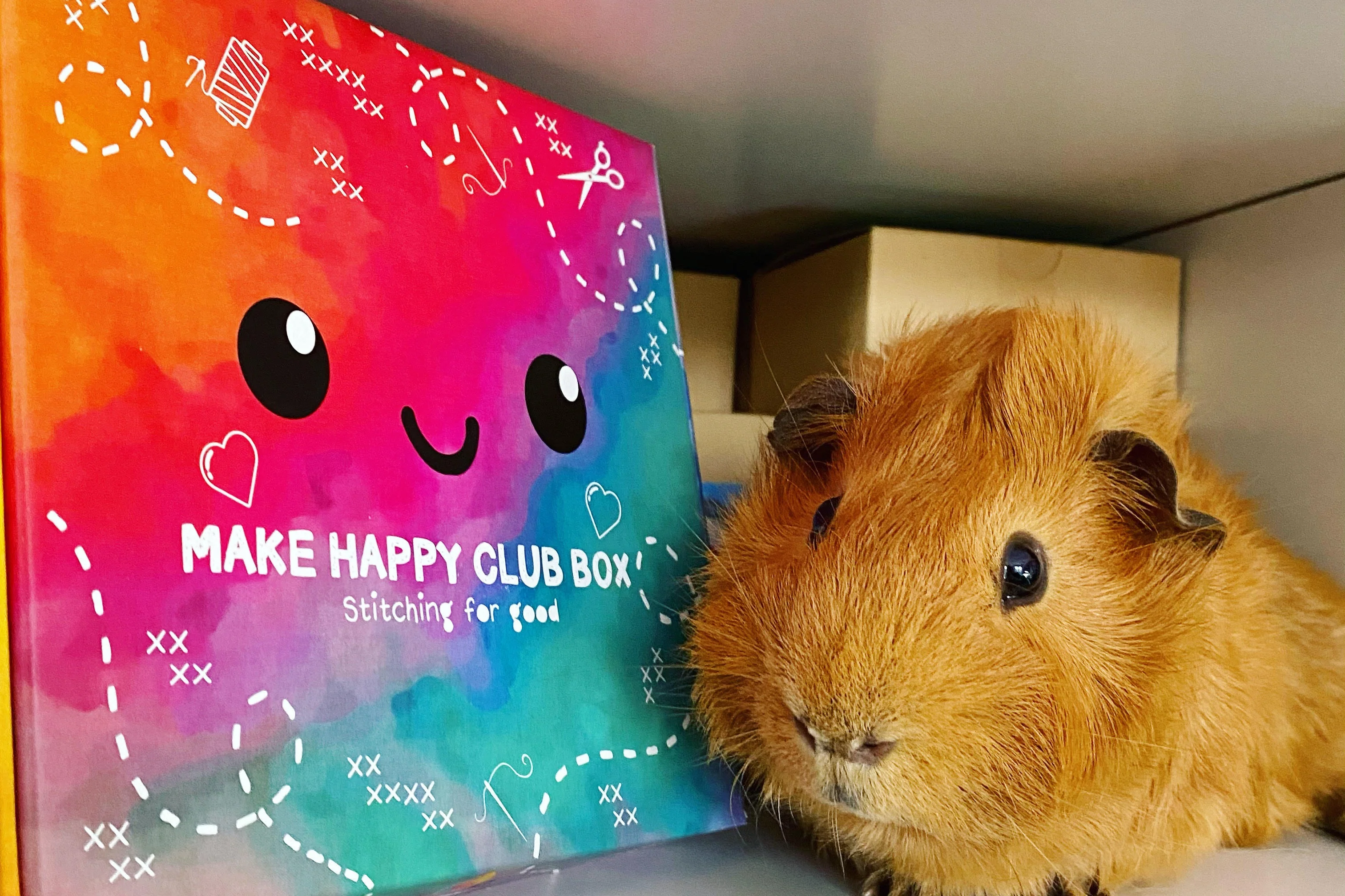 The Make Happy Club Box - Image 7