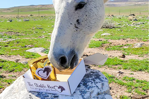 The Stable Box - Image 12