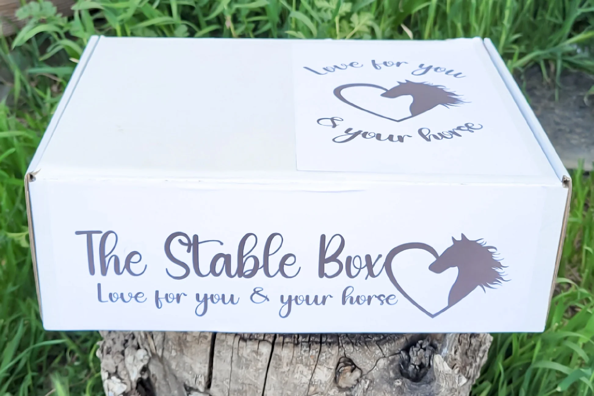 The Stable Box - Image 5