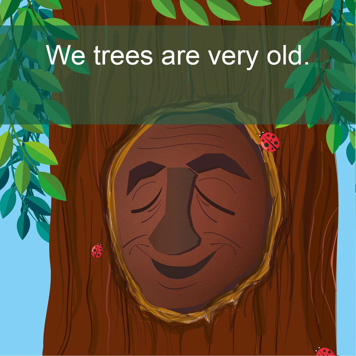 Trees For Kids Trees Have Many Jobs: I can Read Level 1 (I Can Read Kids Books Book 7) - Image 3