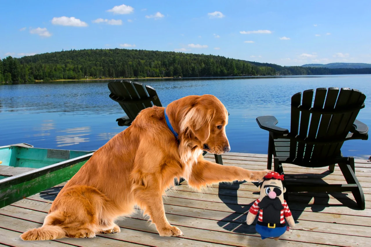Peculiar Pet Holiday Box - Dog - Image 11