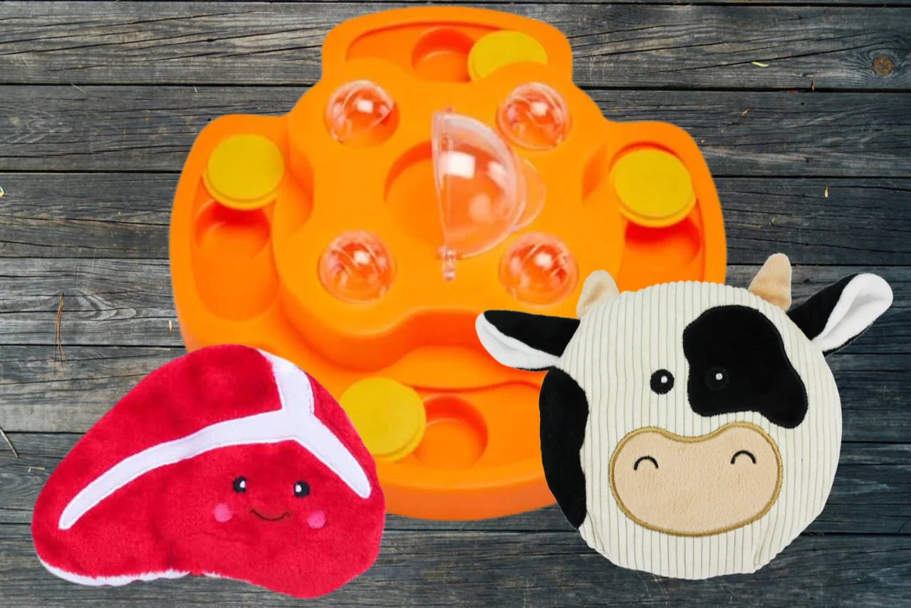 Peculiar Pet Holiday Box - Dog - Image 13
