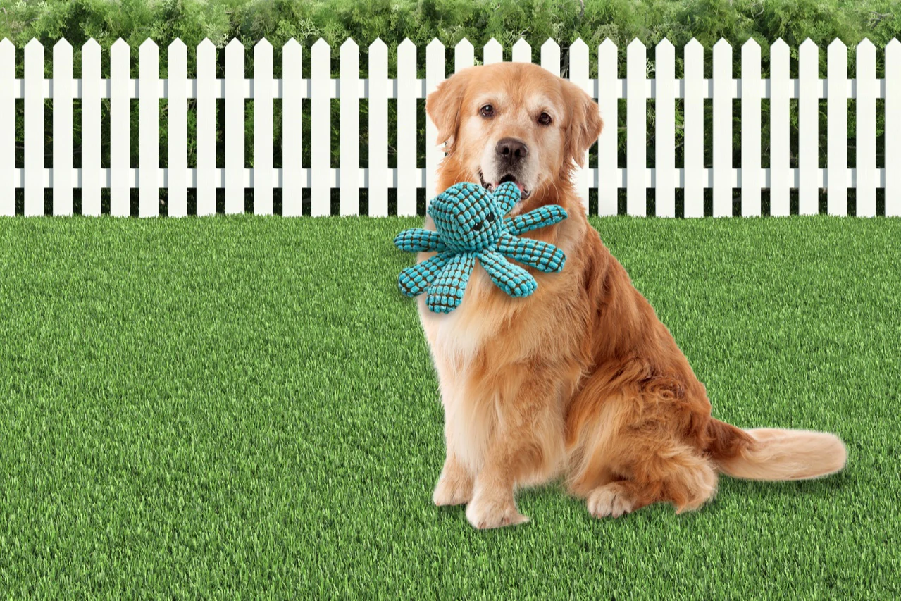 Peculiar Pet Holiday Box - Dog - Image 5